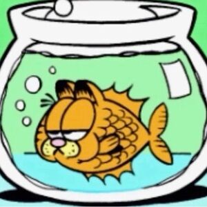 new account @minafrm17